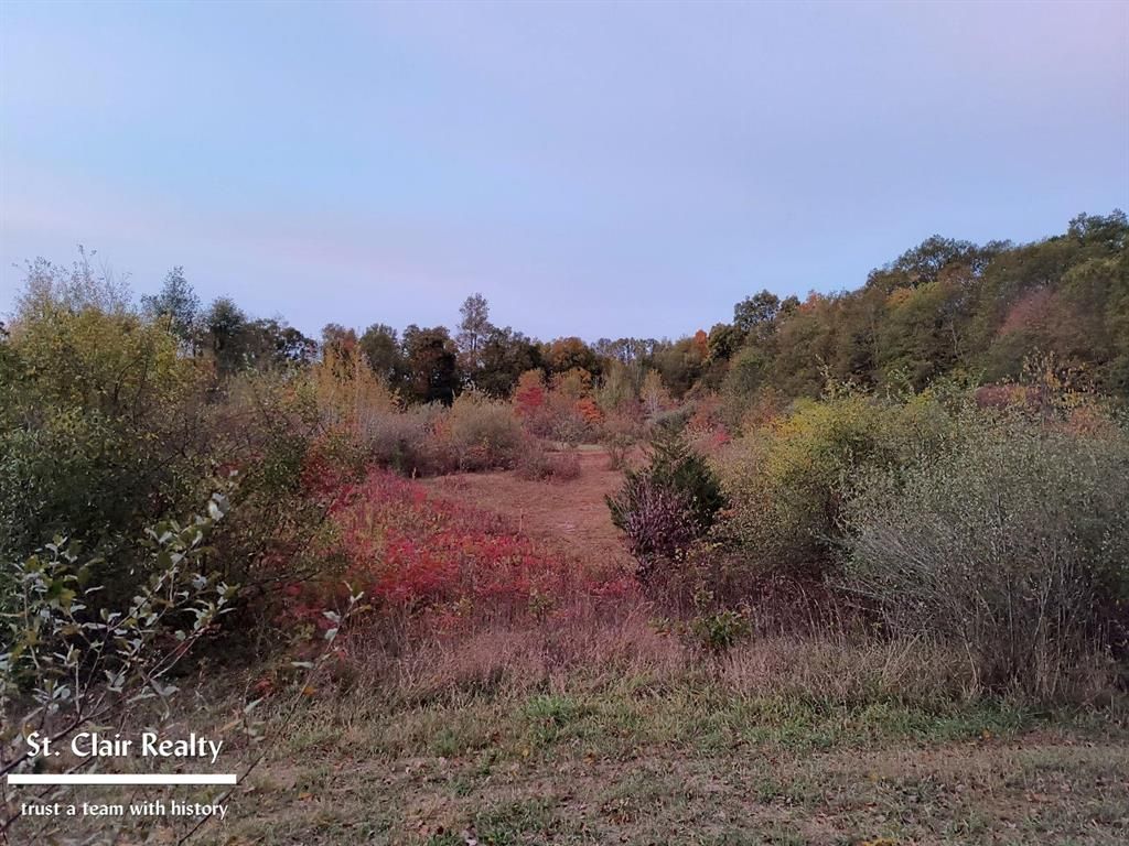 Photo of 0 Parks Road, Wales Township, MI 48027 (MLS # 58050158179)