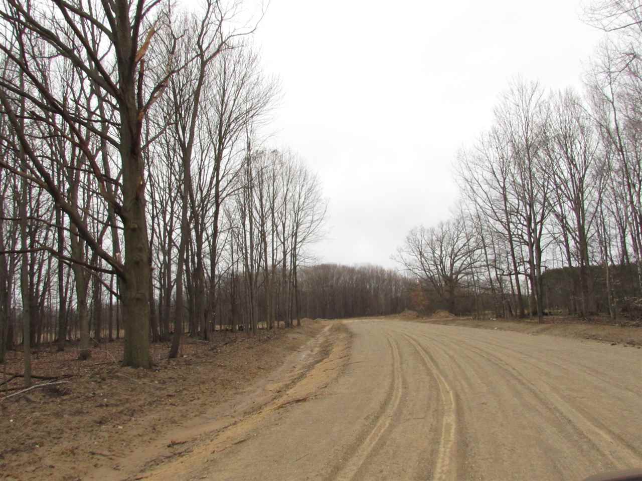 2620 White Pine Drive