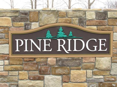 2620 White Pine Drive Deerfield Township MI 48858