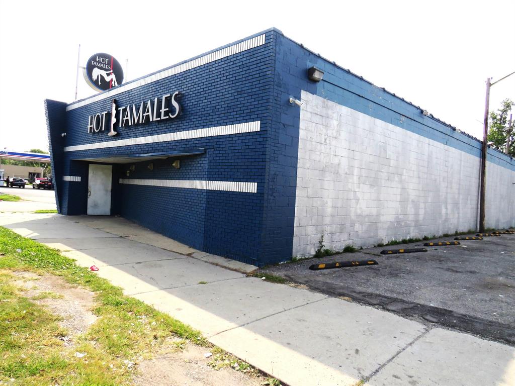 Detroit, Michigan 48235, United States, ,Commercial,Active,47666