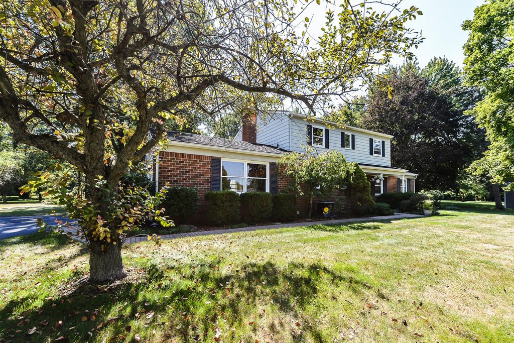 listing image 56