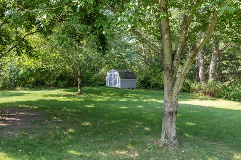 A home in Colfax Twp