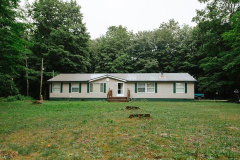 A home in Homestead Twp