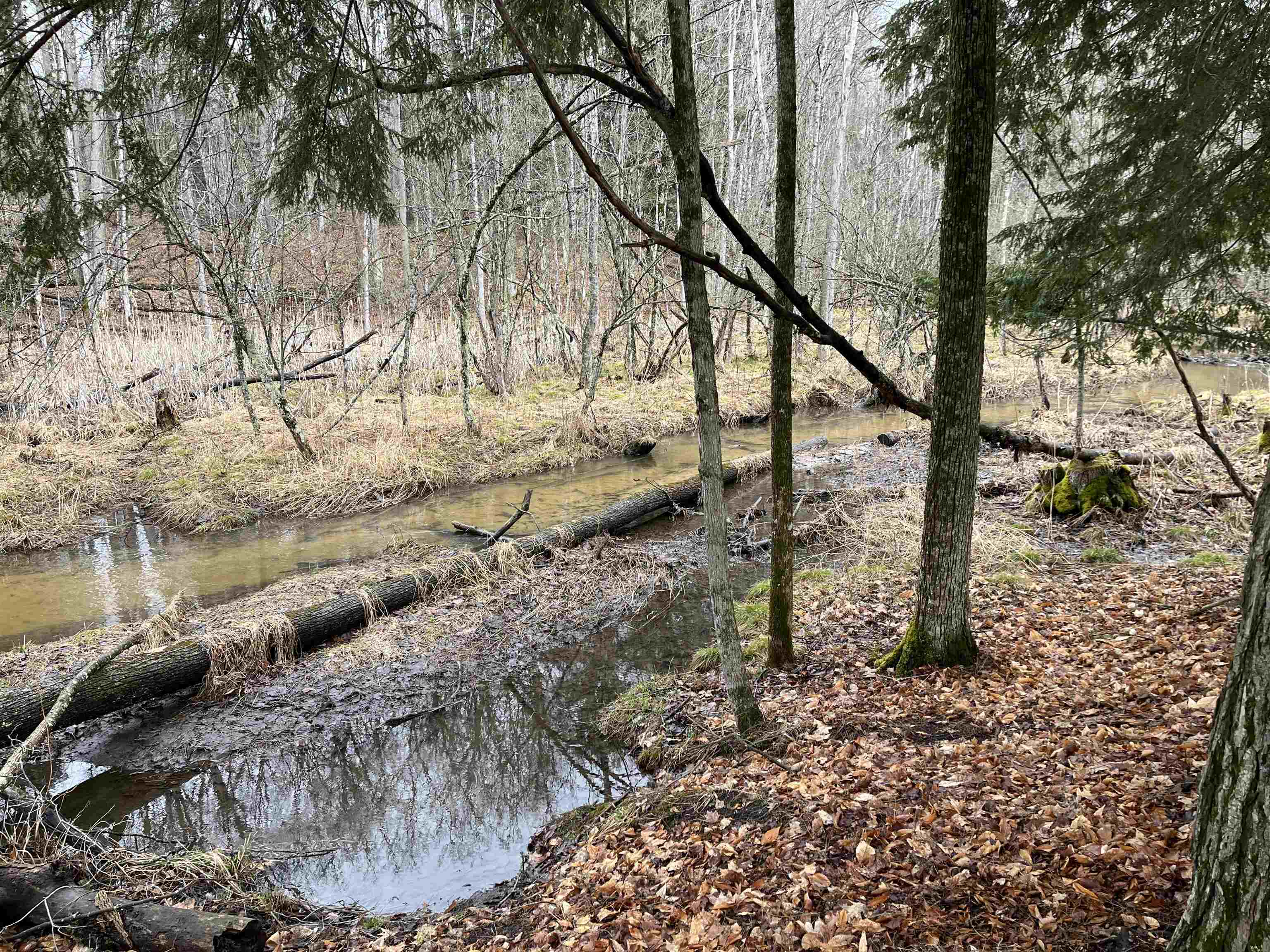 Photo 1 of 8 — M-55, South Branch Township, MI 49689