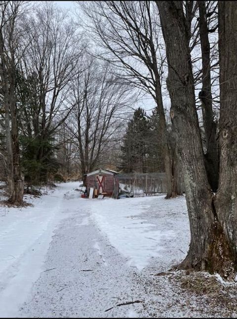 A home in Maple Forest Twp