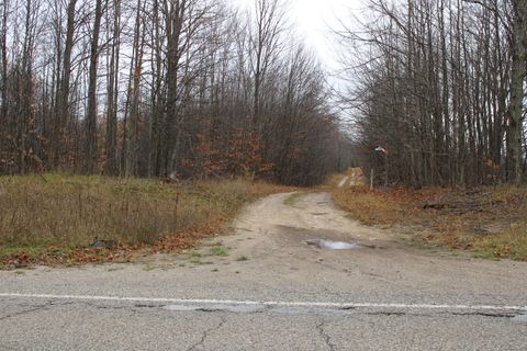 A home in Maple Forest Twp