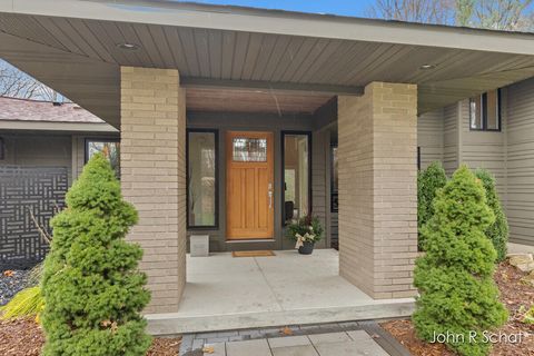 A home in Blendon Twp