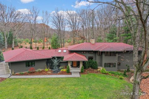 A home in Blendon Twp