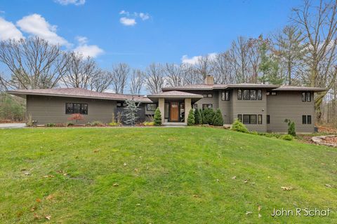 A home in Blendon Twp