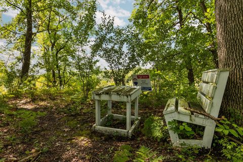 A home in Martiny Twp