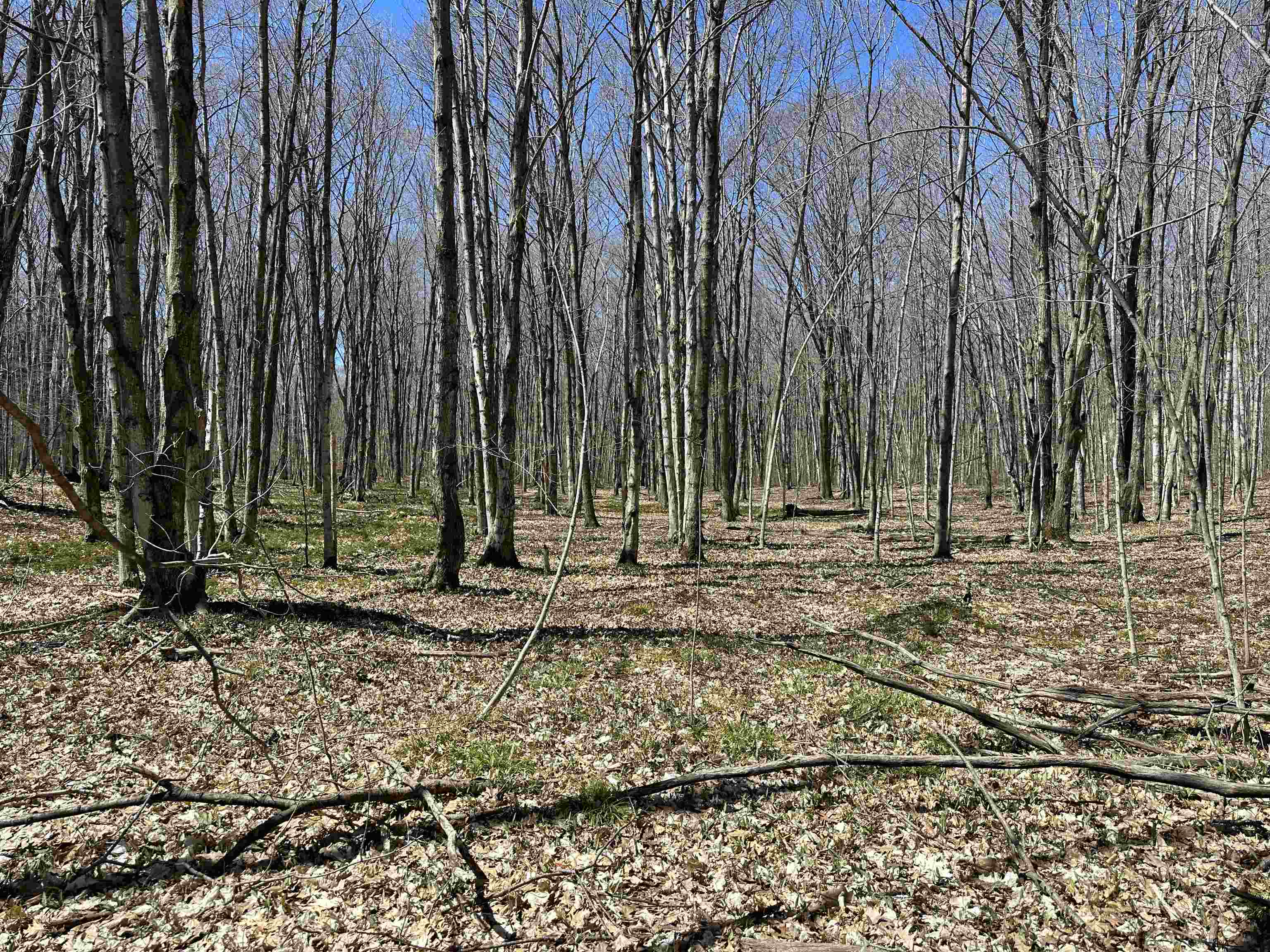 TBD Beaver Island Road