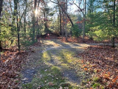 A home in Stronach Twp