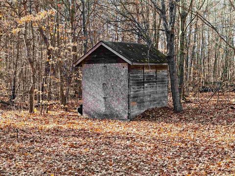 A home in Inland Twp