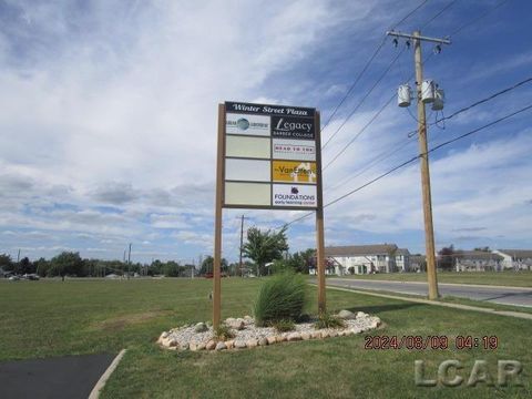 1114 S Winter Street Adrian City MI 49221