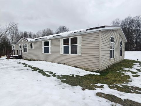 A home in Bear Lake Twp