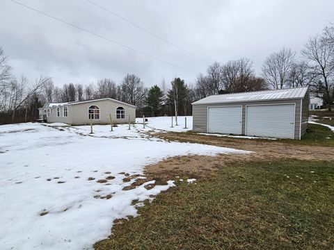 A home in Bear Lake Twp