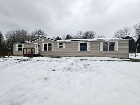 A home in Bear Lake Twp