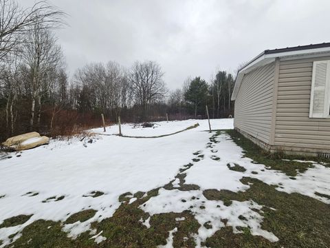 A home in Bear Lake Twp