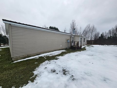 A home in Bear Lake Twp