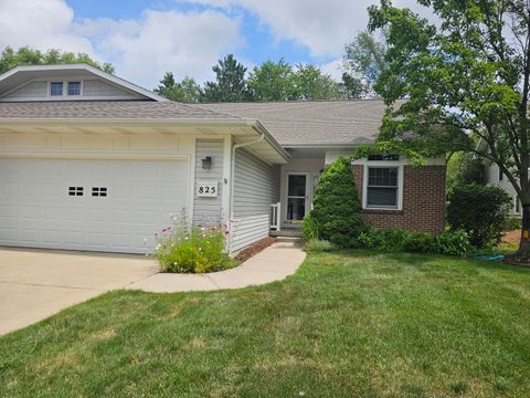 A home in Delta Twp