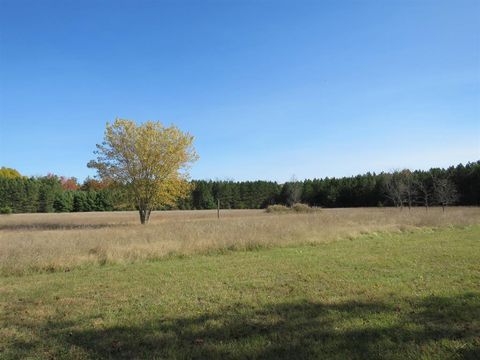 A home in South Branch Twp