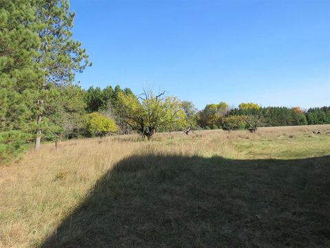 A home in South Branch Twp