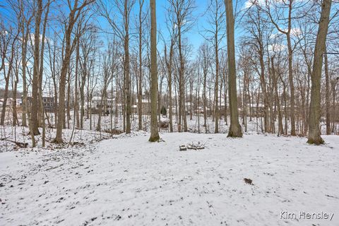 A home in Algoma Twp