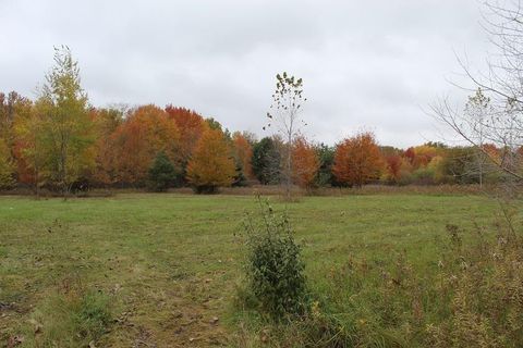 12113 N Linden Rd Vienna Charter Township MI 48420