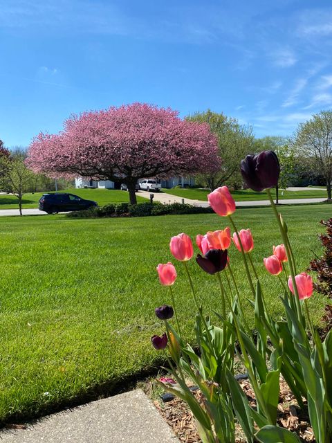 A home in Byron Twp