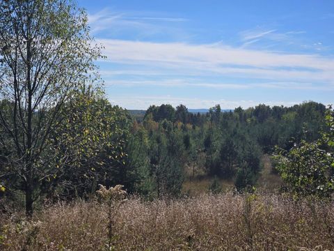 00 Moorestown Road Norwich Township MI 49651