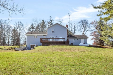 A home in Grass Lake Twp