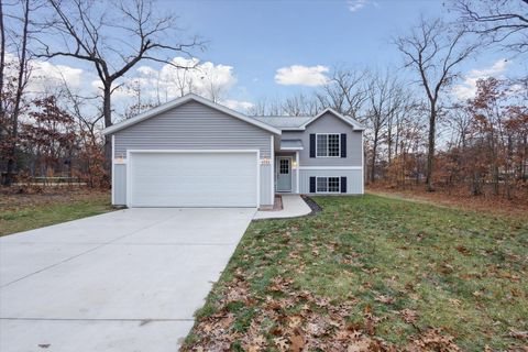 A home in Pierson Twp