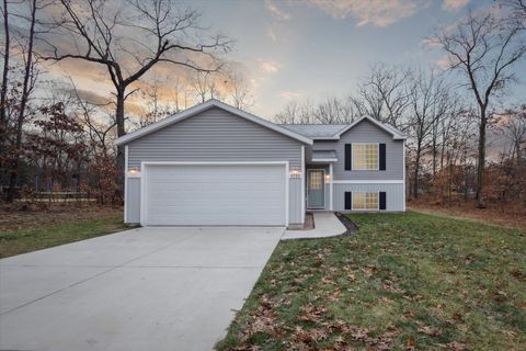 A home in Pierson Twp