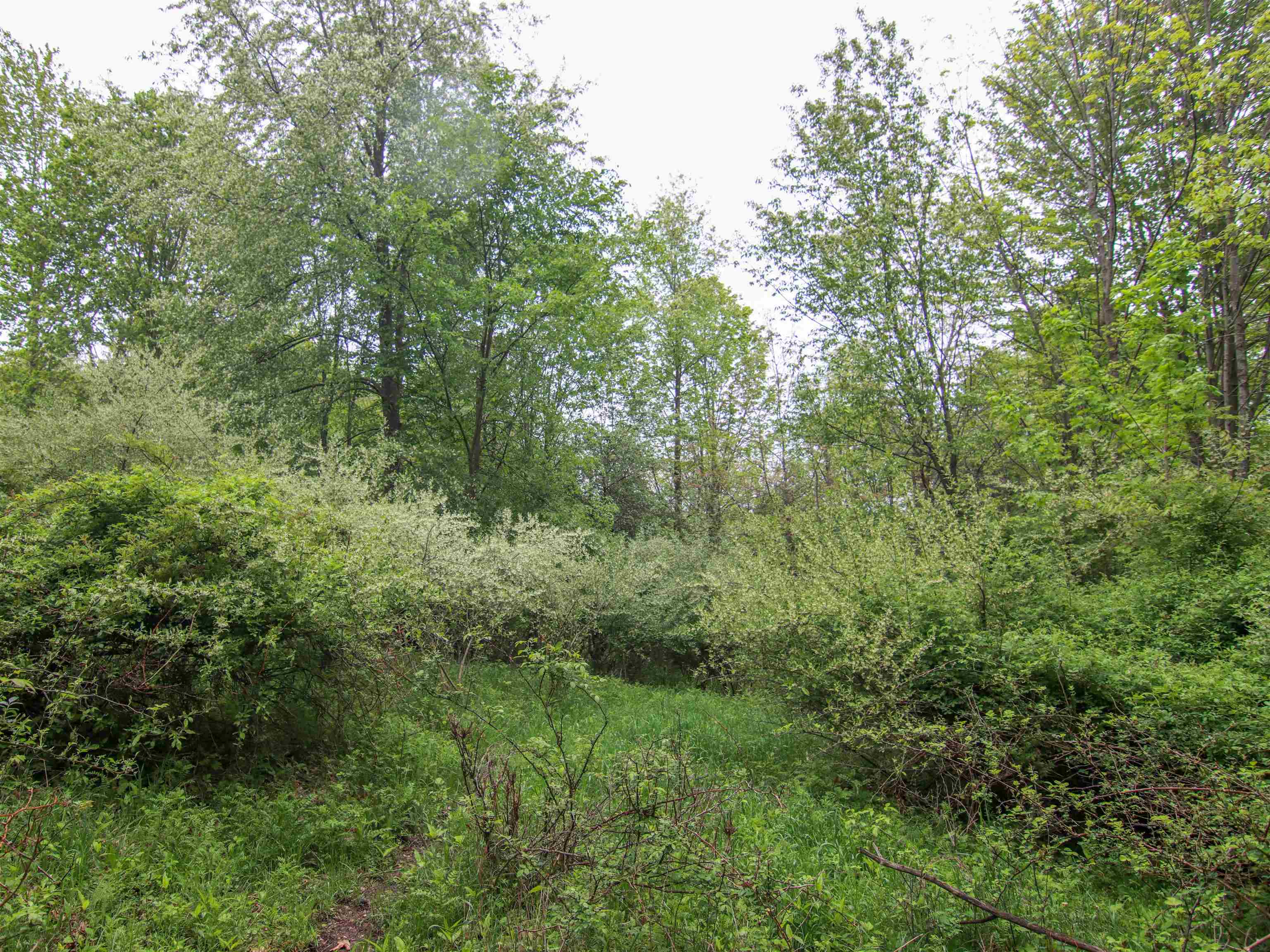 000-Unit 3 Ledgewood Ravine Trail