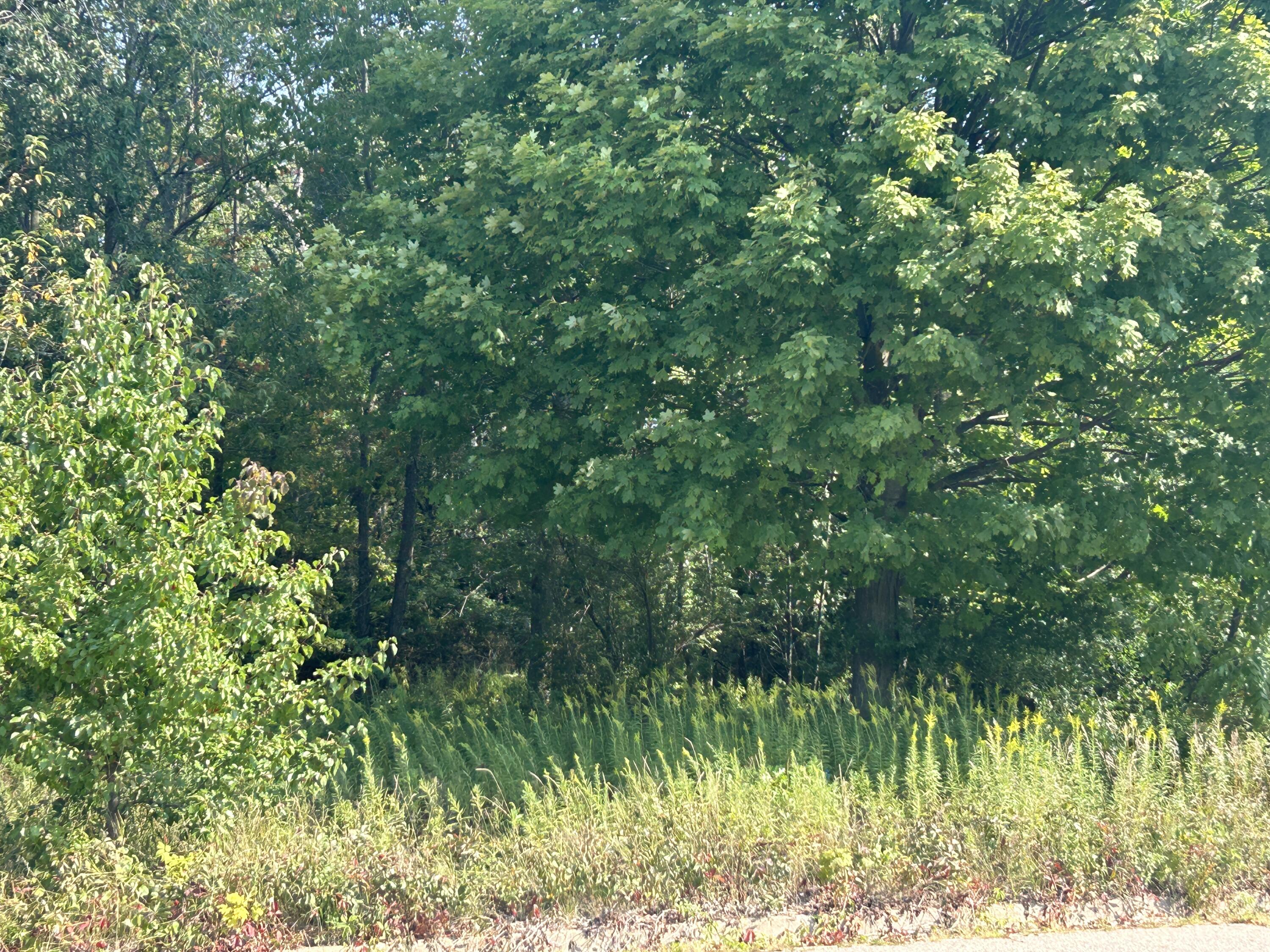 Kalamazoo, Michigan 49009, United States, ,Land,Active,44654