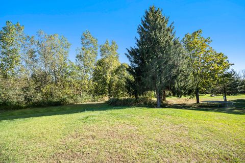 A home in Otsego Twp