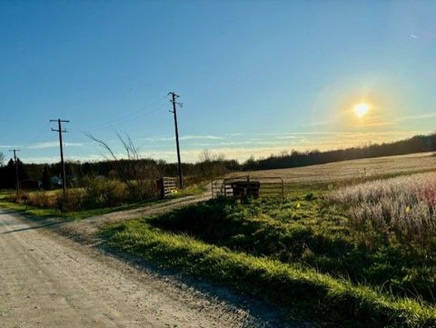 14235 WANTY Road London Township MI 48160