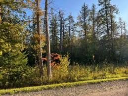 14250 TOWN HALL(Lot A & B)