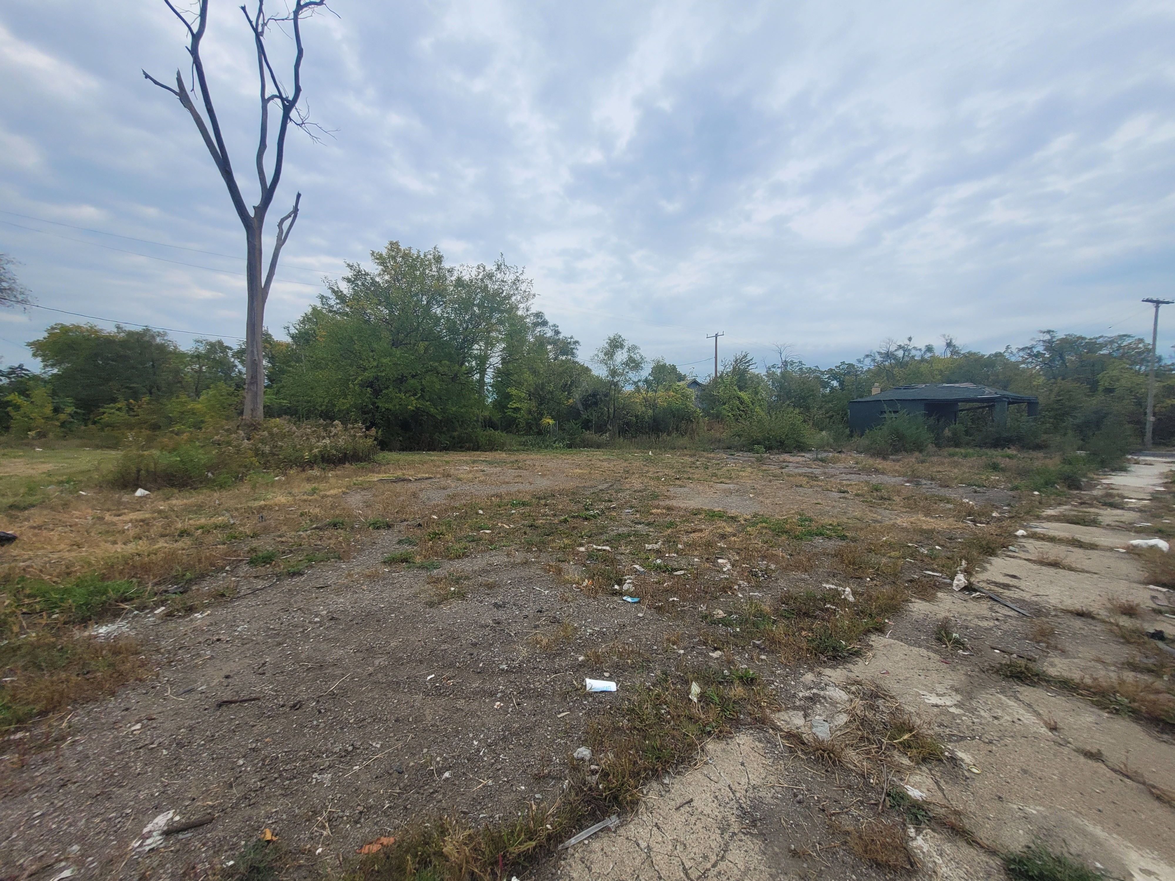 View Detroit, MI 48212 land
