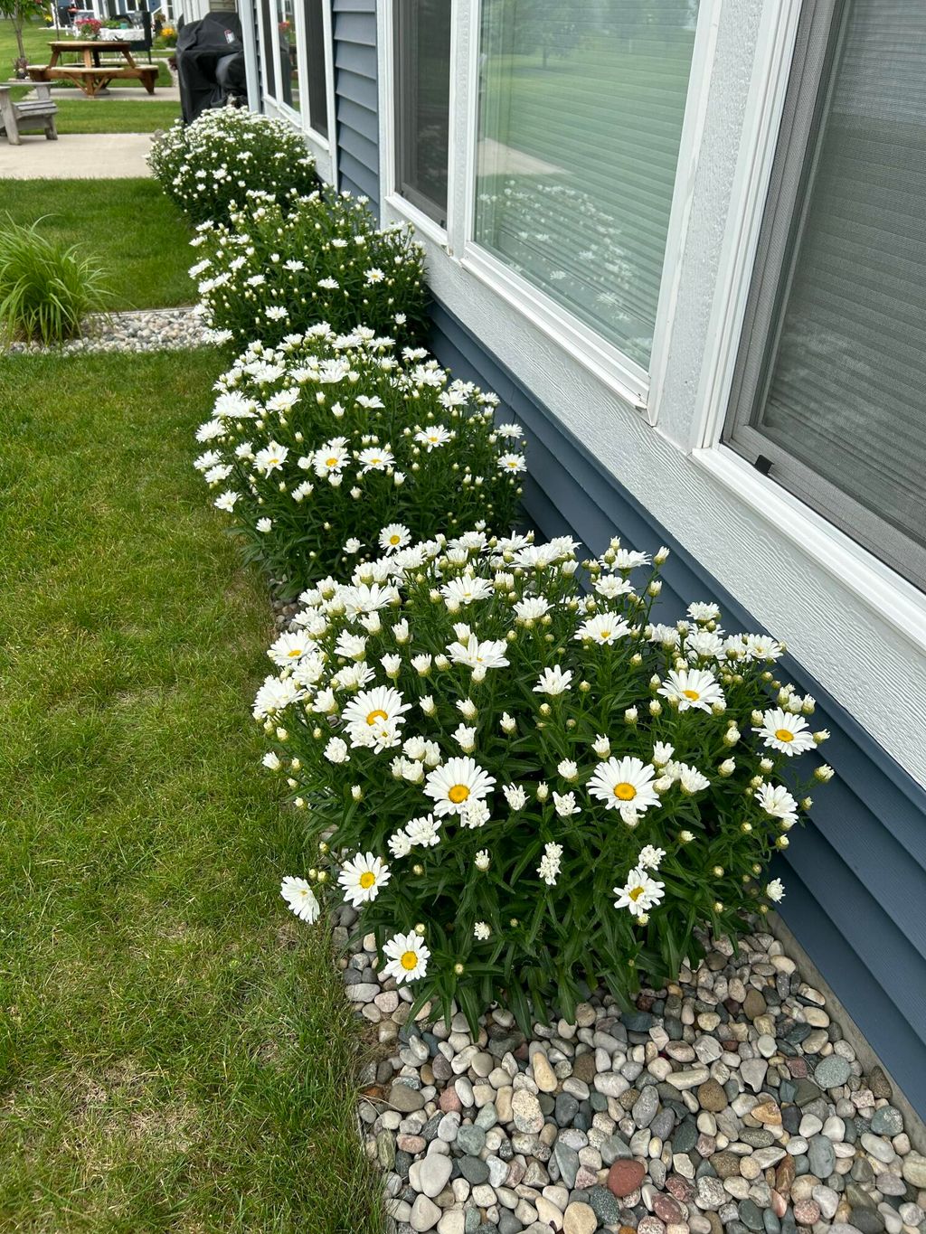 listing image 79