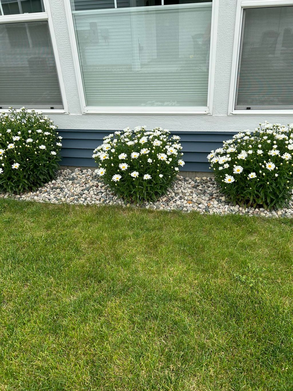 listing image 80