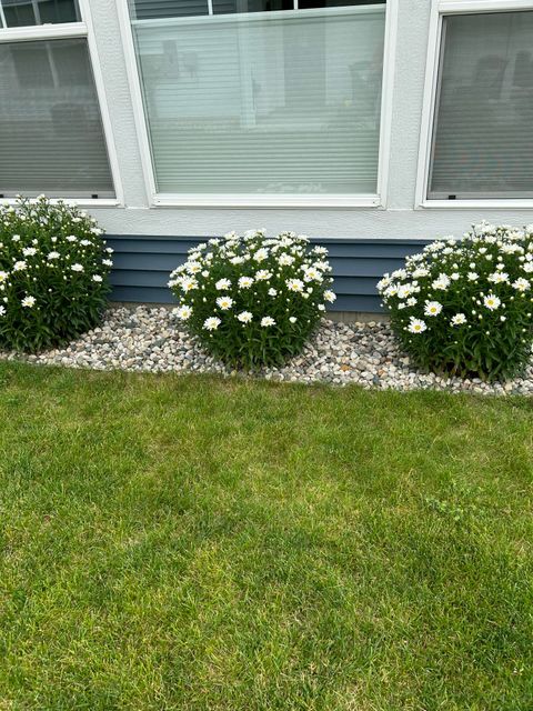 listing image 80