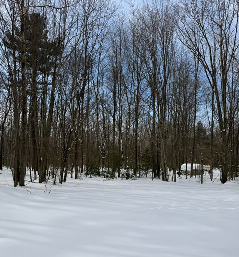 A home in LaketonTownship_Muskegon