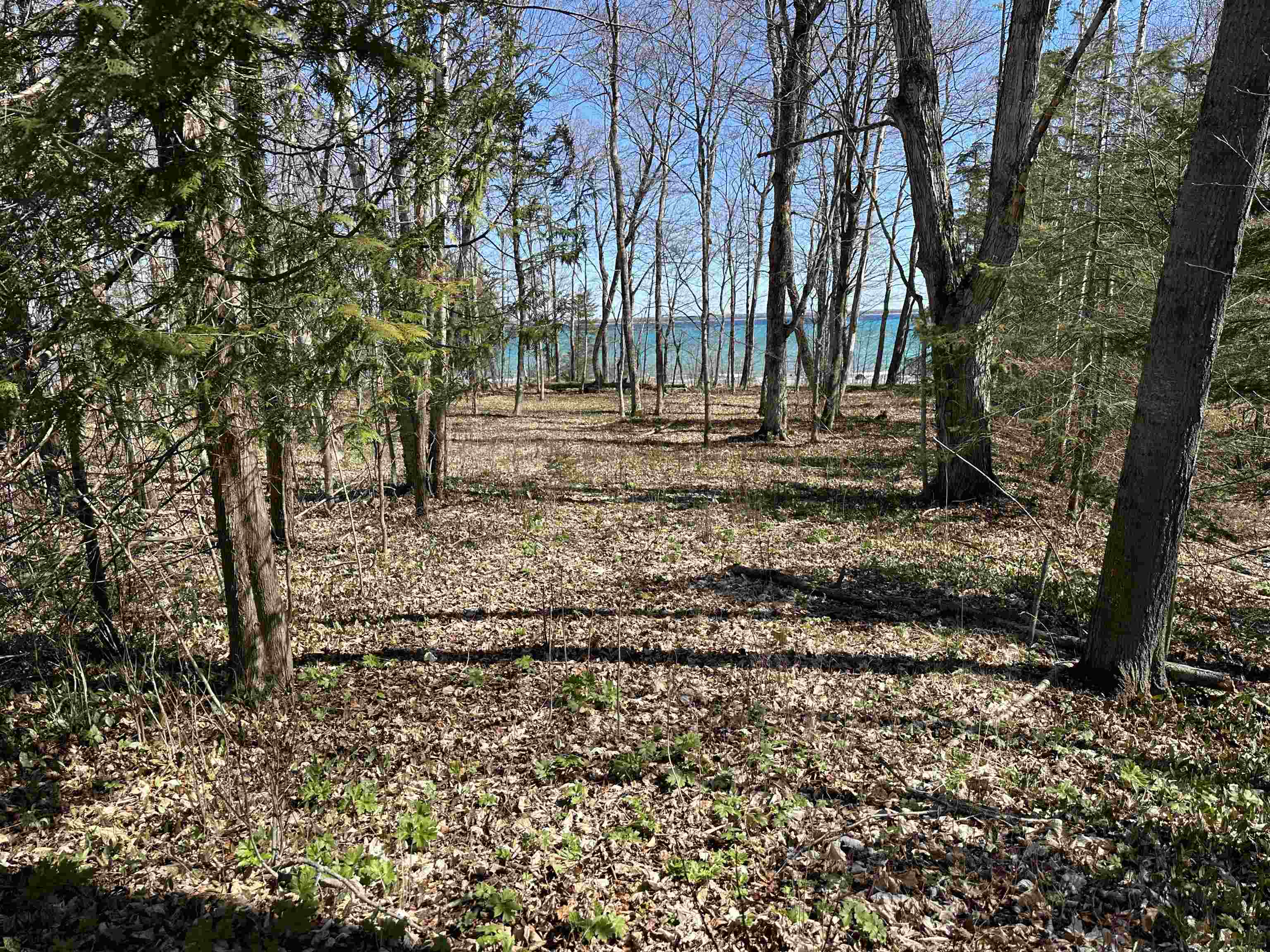 TBD Beaver Island Road