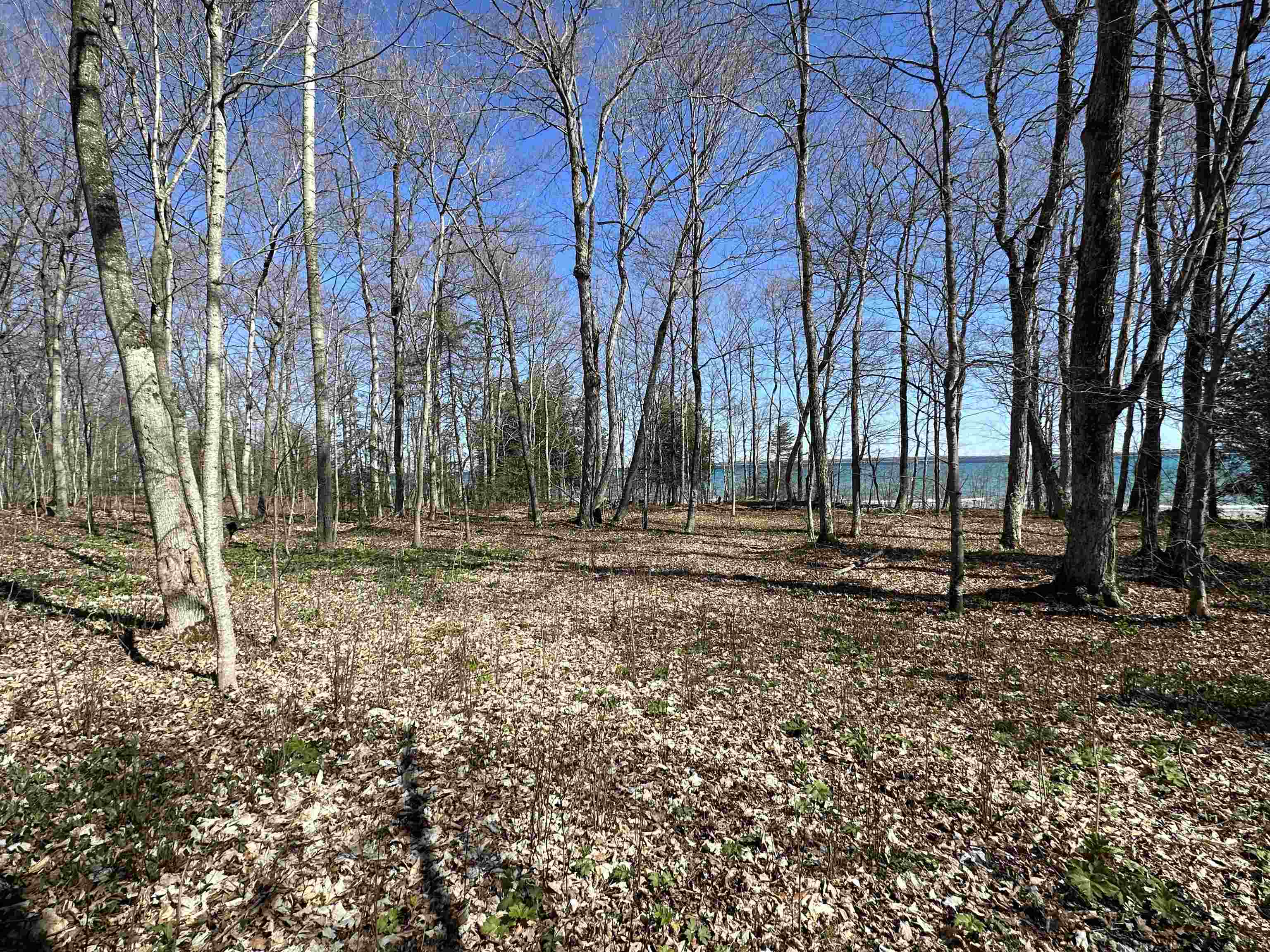 TBD Beaver Island Road