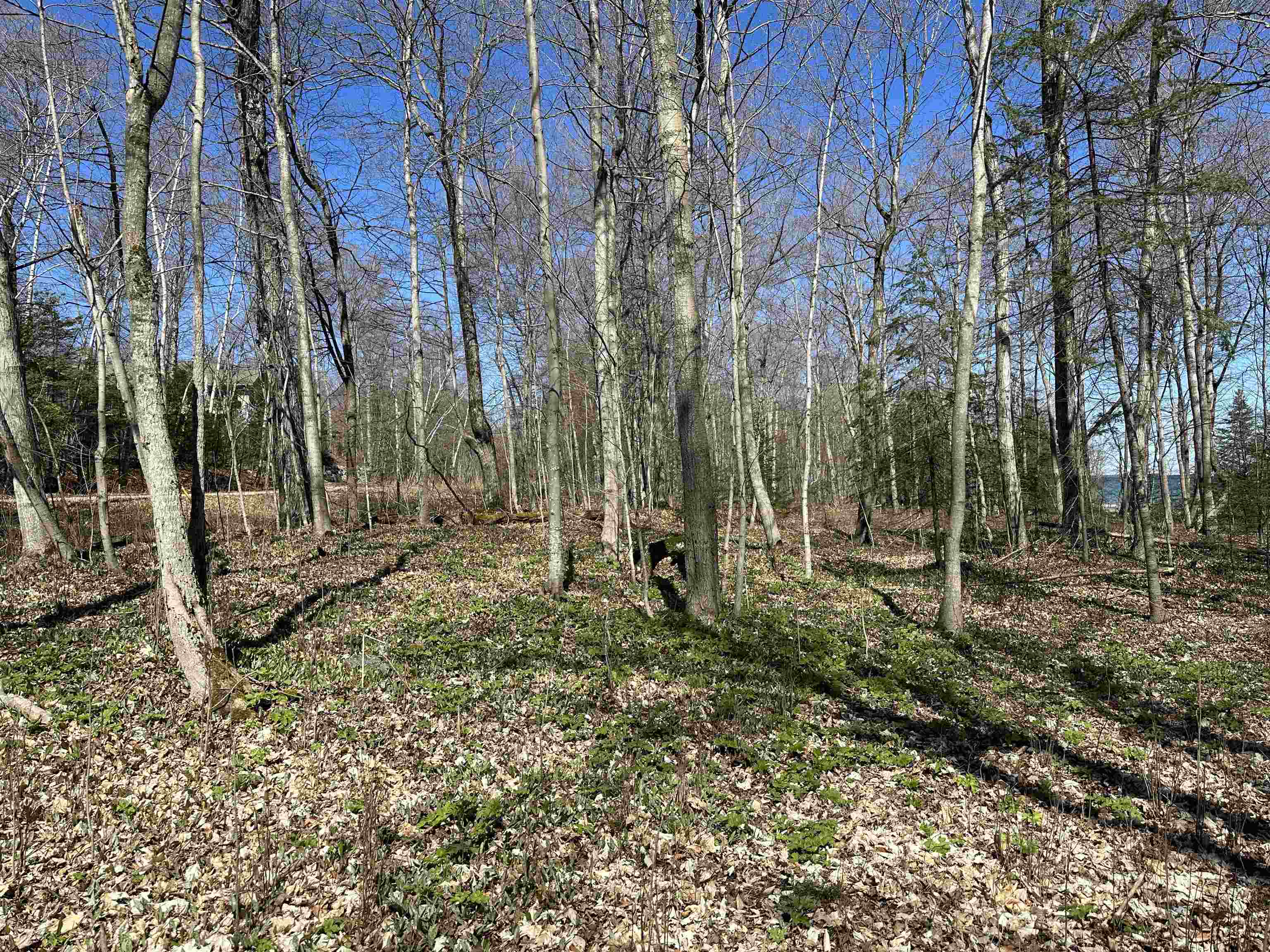 TBD Beaver Island Road