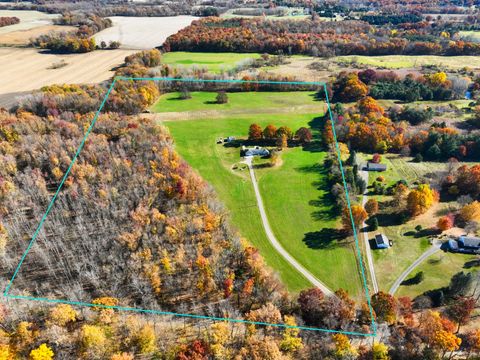 A home in Iosco Twp