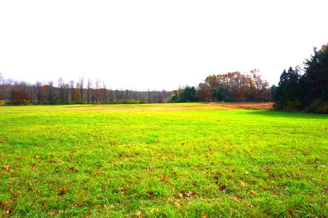 A home in Iosco Twp