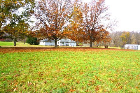 A home in Iosco Twp