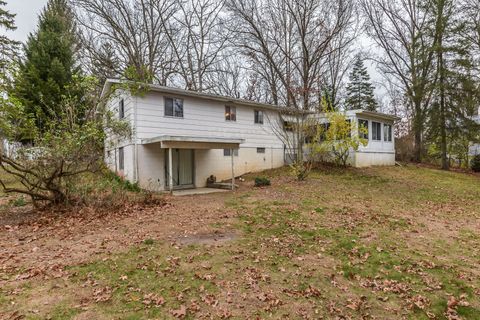 A home in Dexter Twp